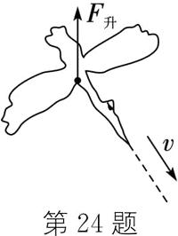 第24题