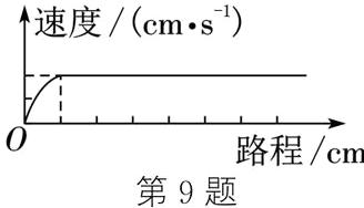 路程cm第9题