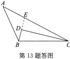 第13题答图