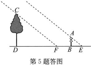 第5题答图