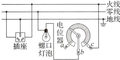 器A螺口插座灯泡