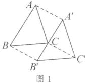 B图1