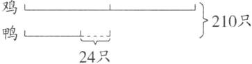 210只24只