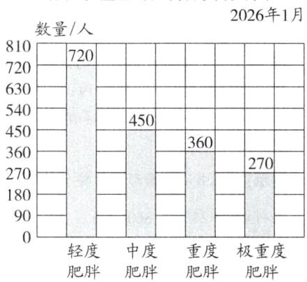 轻度重度极重度中度肥胖肥胖肥胖肥胖