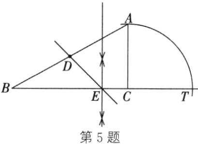 第5题