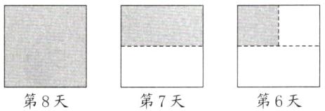 第7天第6天第8天