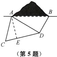 第5题