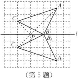 第5题