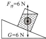 G6N