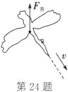 第24题