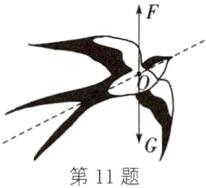 第11题