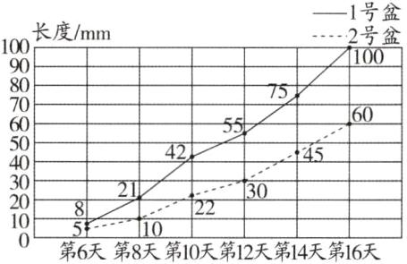 10第6天第8天第10天第12天第14天第16天