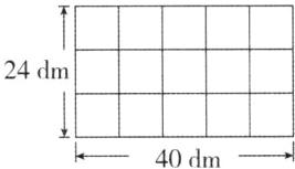 40dm