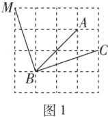 B图1