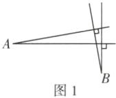 图1
