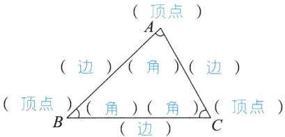 顶点顶点角角边