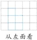 从左面看