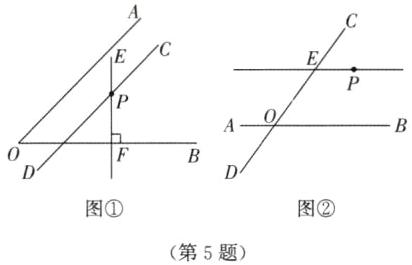 第5题