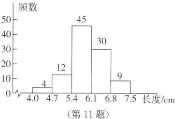 0404754616875长度cm第11题