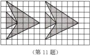 第11题