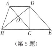 第5题