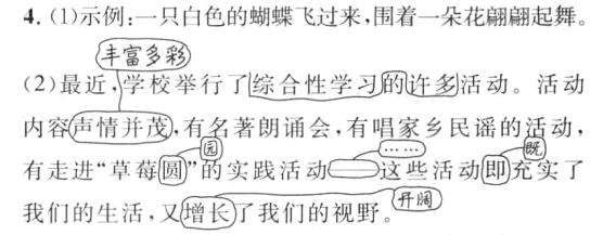 有走进草莓圆的实践活动这些活动即充实了我们的生活又增长了我们的视野开阔