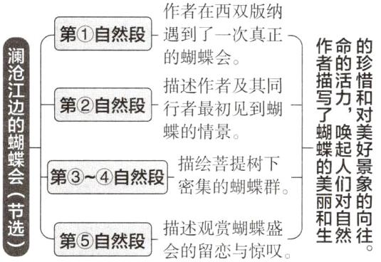 和自向描述观赏蝴蝶盛生然往第5自然段会的留恋与惊叹