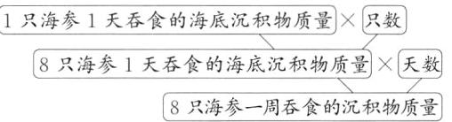 8只海参1天吞食的海底沉积物质量天数8只海参一周吞食的沉积物质量