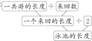 一个来回的长度泳池的长度