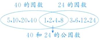 40和24的公因数