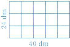 40dm
