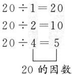 20的因数