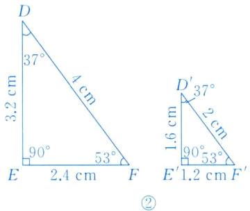 E12cmF24cm