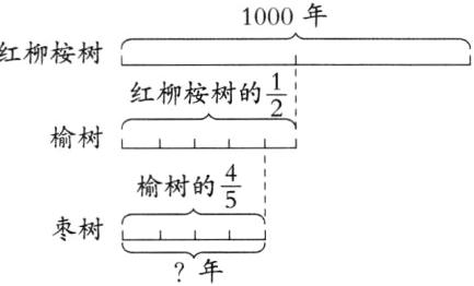 枣树年