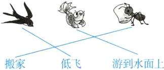 游到水面上搬家低飞