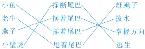 燕子摇着尾巴掌握方向小壁虎甩着尾巴逃生
