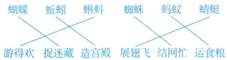 游得欢捉迷藏造宫殿展翅飞结网忙运食粮