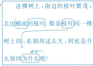 么原因为什么呢