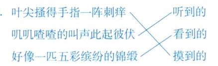 叽叽喳喳的叫声此起彼伏看到的摸到的好像一匹五彩缤纷的锦缎