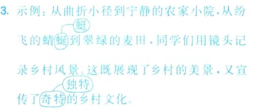 独特传了奇特的乡村文化