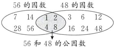2856NA4I816244856和48的公因数