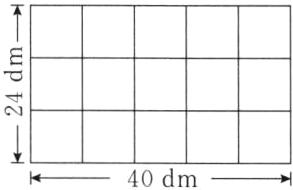 40dm