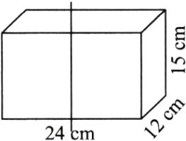 24cm