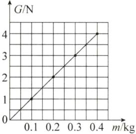 01020304mkg