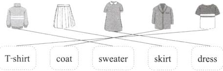 Tshirtskirtdresscoatsweater