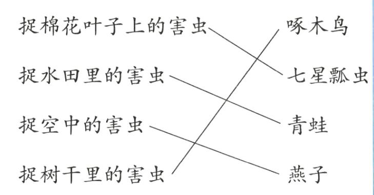 燕子捉树干里的害虫