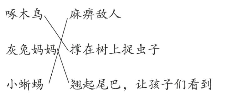 翘起尾巴让孩子们看到小蜥蜴