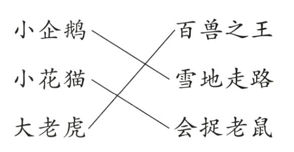 大老虎会捉老鼠