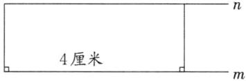 4厘米