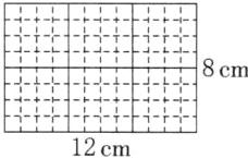 12cm